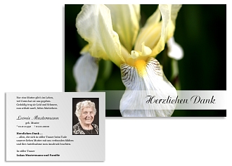 Danksagungskarten Trauer Blume