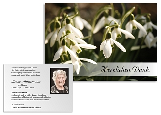 Danksagungskarten Trauer Blume