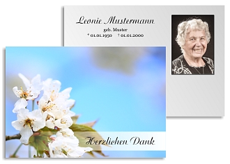 Danksagungskarten Trauer Favoriten