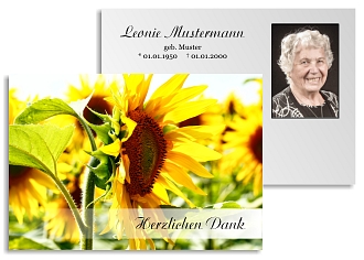 Danksagungskarten Trauer Favoriten