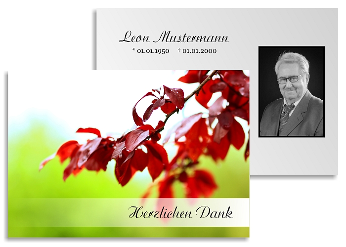 danksagung-trauer-karten-herbst-26