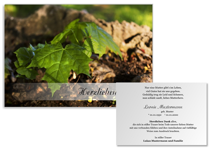 danksagung-trauer-karten-herbst-29