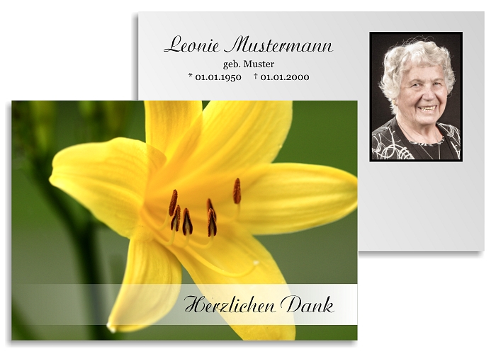 danksagung-trauer-karten-lilie-15