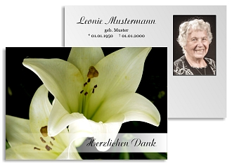 Danksagungskarten Trauer Lilie