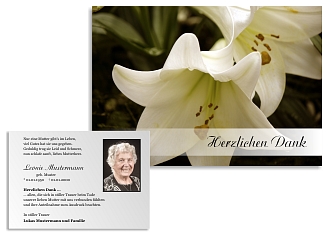 Danksagungskarten Trauer Lilie