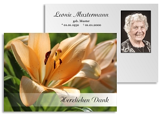 Danksagungskarten Trauer Lilie