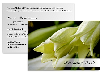 Danksagungskarten Trauer Lilie