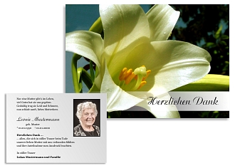 Danksagungskarten Trauer Lilie