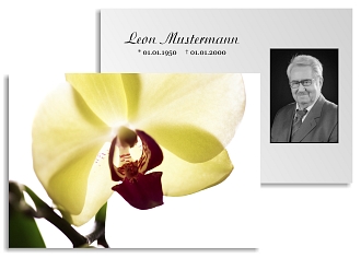 Danksagungskarten Trauer Orchidee