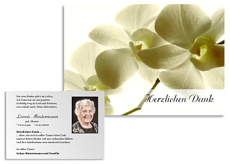 Danksagungskarten Trauer Orchidee