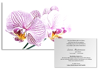 Danksagungskarten Trauer Orchidee