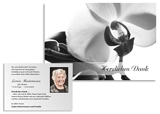 Danksagungskarten Trauer Orchidee