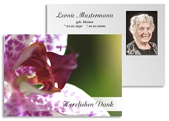 Danksagungskarten Trauer Orchidee