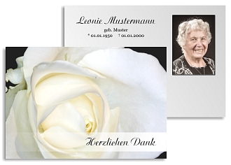 Danksagungskarten Trauer Rose