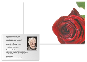 Danksagungskarten Trauer Rose