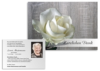 Danksagungskarten Trauer Rose