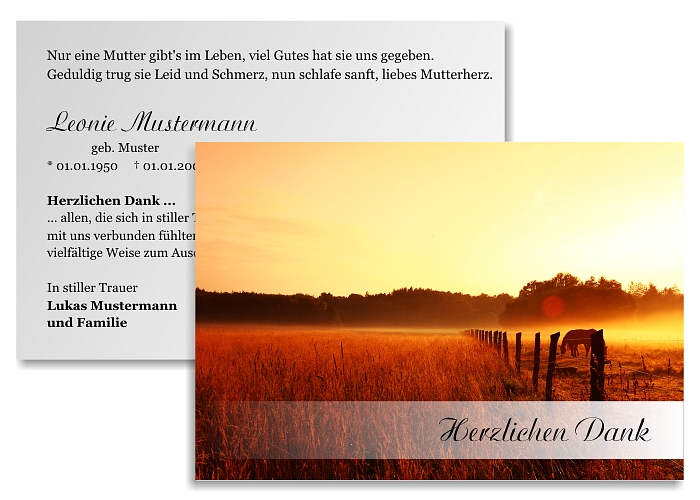 danksagung-trauer-karten-sommer-22