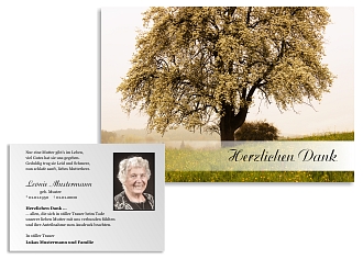 Danksagungskarten Trauer Sommer