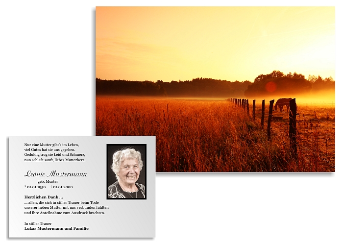 danksagung-trauer-karten-sonne-23