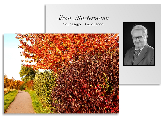 danksagung-trauer-karten-wald-06