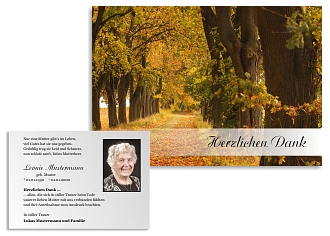 Danksagungskarten Trauer Wald