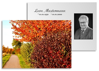 Danksagungskarten Trauer Wald