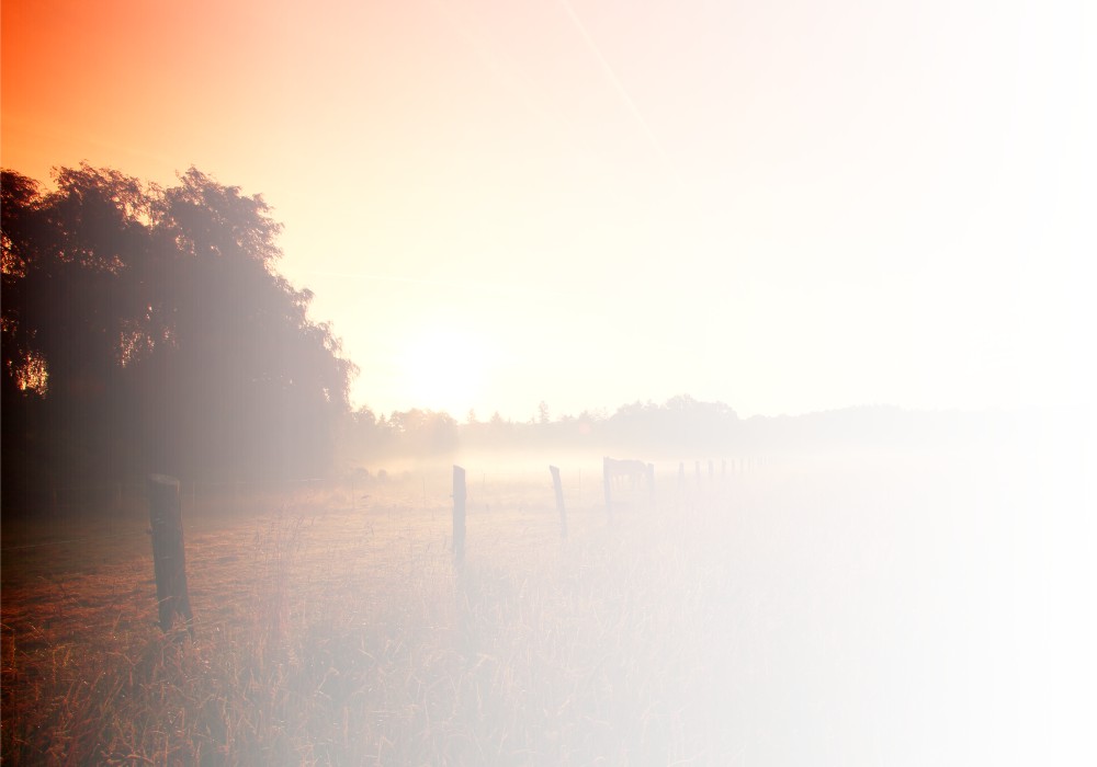 danksagung-trauer-sonne-16