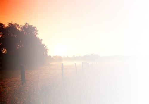 Danksagungskarten Trauer Sonne