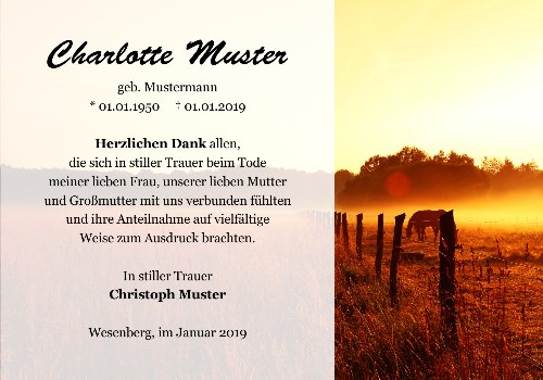 Danksagungskarten Trauer Sonne