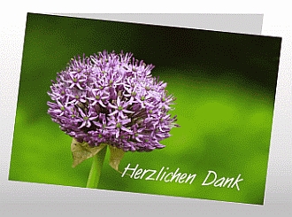 Danksagungskarten Trauer Blume