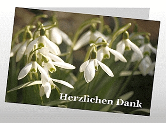 Danksagungskarten Trauer Blume