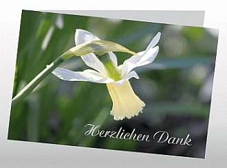 Danksagungskarten Trauer Blume