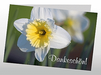 Danksagungskarten Trauer Blume