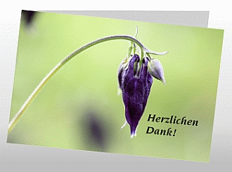Danksagungskarten Trauer Blume