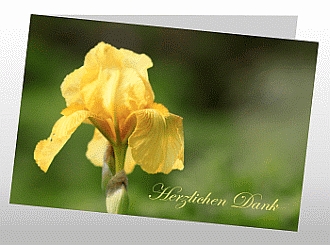 Danksagungskarten Trauer Blume