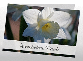 Danksagungskarten Trauer Blume