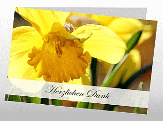 Danksagungskarten Trauer Blume