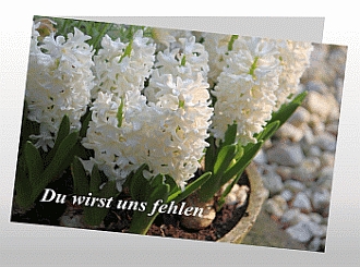 Danksagungskarten Trauer Blume