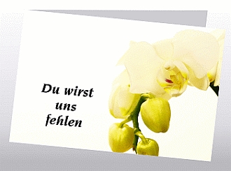 Danksagungskarten Trauer Favoriten