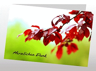 Danksagungskarten Trauer Favoriten