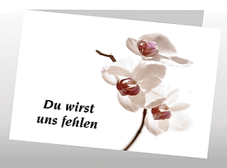 Danksagungskarten Trauer Favoriten