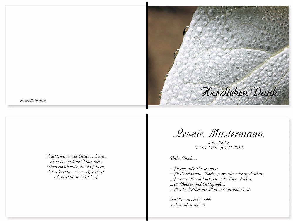 trauerdankeskarten-herbst-24