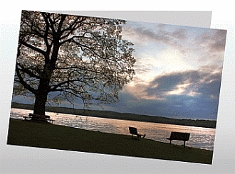 Danksagungskarten Trauer Herbst