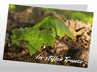 Danksagungskarten Trauer Herbst