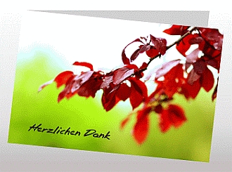 Danksagungskarten Trauer Herbst