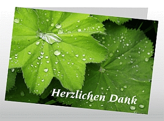 Danksagungskarten Trauer Herbst