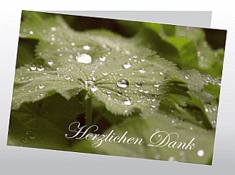 Danksagungskarten Trauer Herbst