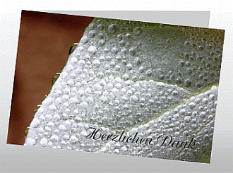 Danksagungskarten Trauer Herbst