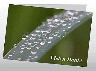 Danksagungskarten Trauer Herbst