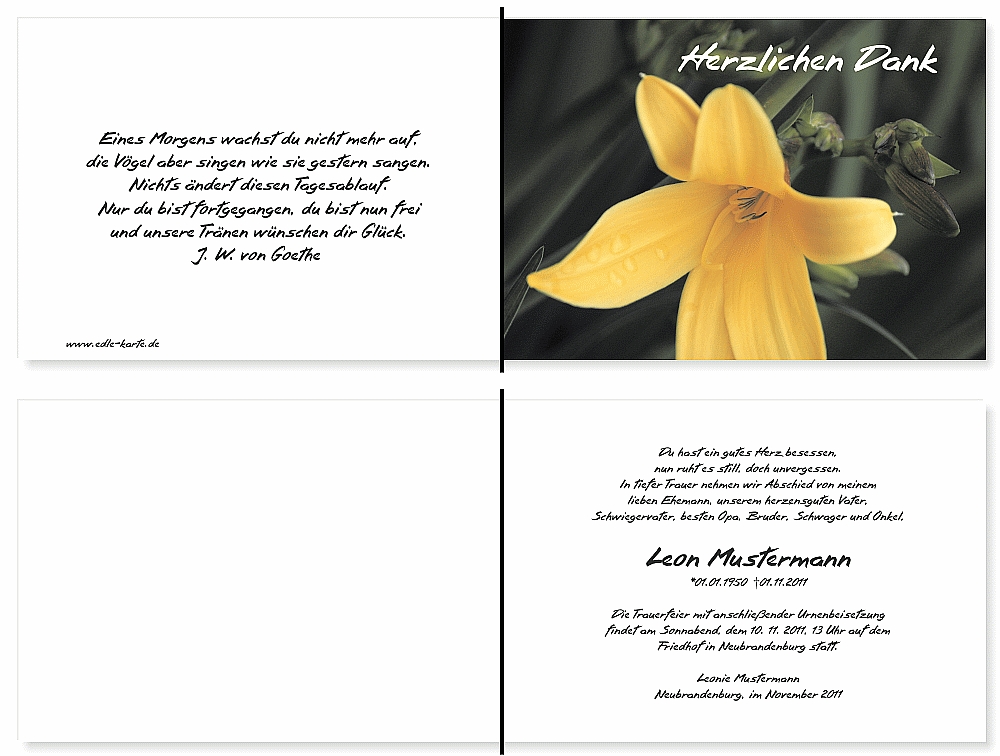trauerdankeskarten-lilie-14